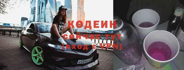 шишки Заволжск
