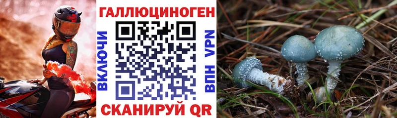 купить   Среднеуральск  МЕГА вход  Галлюциногенные грибы GOLDEN TEACHER 